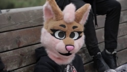 Почему в России хотят запретить движение фурри Почему в России хотят запретить движение фурри