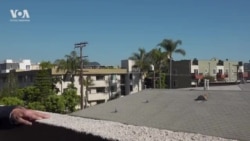 Ветераны Второй мировой из бывшего СССР, которые уехали в эмиграцию и живут в США, рассказывают о войне, боях и ранениях