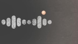 Реальный разговор: арест генералов
 Реальный разговор: арест генералов