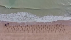 Зеленский может поехать во Францию и Италию, чтобы убедить Запад сбивать со своей территории ракеты России над Украиной