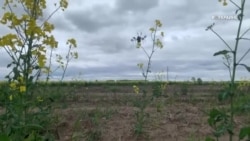 #ВУкраине: искусственный интеллект на поле боя #ВУкраине: искусственный интеллект на поле боя