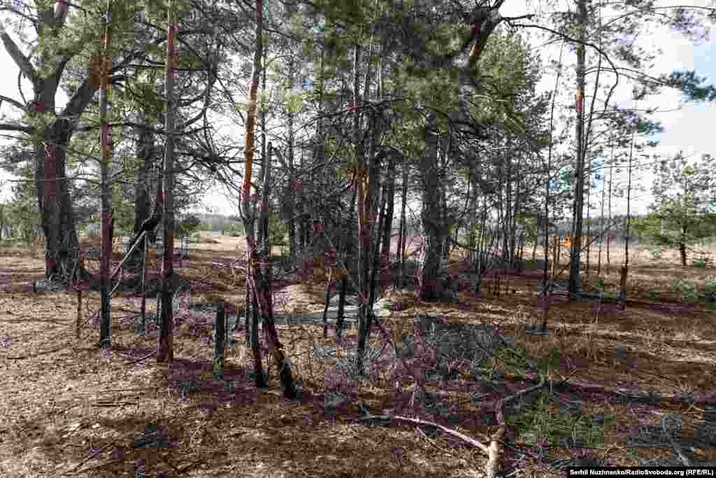 Украинский военный 10-й отдельной горно-штурмовой бригады "Эдельвейс" держит трофейный автомат Калашникова АК-12, захваченный во время боя с российскими военными, Киевщина, март 2022 года / То же место в марте 2024 года