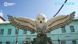 "Черный дельфин" и "Полярная сова". Что известно о российских колониях особого режима, в одну из которых этапируют Алексея Навального
 "Черный дельфин" и "Полярная сова". Что известно о российских колониях особого режима, в одну из которых этапируют Алексея Навального