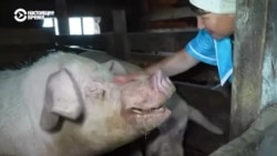 Человек на карте: вологодская Венера Человек на карте: вологодская Венера