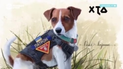 Символы войны. Что объединяет украинцев в течение 10 месяцев  Символы войны. Что объединяет украинцев в течение 10 месяцев