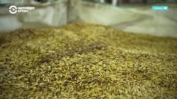 После запрета России на вывоз зерновых в Казахстане начали останавливаться мельницы После запрета России на вывоз зерновых в Казахстане начали останавливаться мельницы