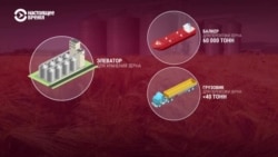 Россия не дает Украине вывозить зерно по морю, но сама продает захваченную украинскую пшеницу под видом российской Россия не дает Украине вывозить зерно по морю, но сама продает захваченную украинскую пшеницу под видом российской