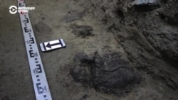 Что будет с обнаруженными захоронениями на бывшем полигоне НКВД в Екатеринбурге Что будет с обнаруженными захоронениями на бывшем полигоне НКВД в Екатеринбурге