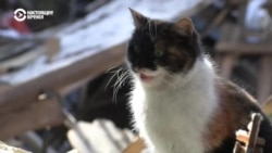 Как живут люди в разбомбленном Ирпене Как живут люди в разбомбленном Ирпене