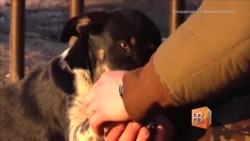 День тишины День тишины