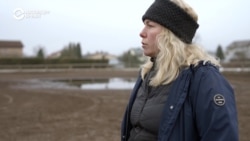 Дарья Тихомирова уехала из России в Латвию и готовит там конников-паралимпийцев Дарья Тихомирова уехала из России в Латвию и готовит там конников-паралимпийцев