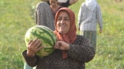 "Привыкли уже: и девочки, и женщины делают тяжелую работу": как в Таджикистане живет село без мужчин "Привыкли уже: и девочки, и женщины делают тяжелую работу": как в Таджикистане живет село без мужчин