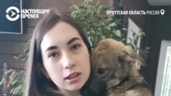 Собак бросили при наводнении в Иркутской области. Их спасают волонтеры Собак бросили при наводнении в Иркутской области. Их спасают волонтеры