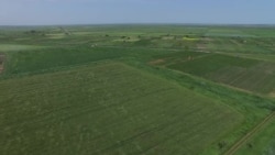 Через год в Украине заработает земельный рынок. Как это будет Через год в Украине заработает земельный рынок. Как это будет