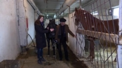 Почему артисты бишкекского цирка пикетируют Белый дом Почему артисты бишкекского цирка пикетируют Белый дом