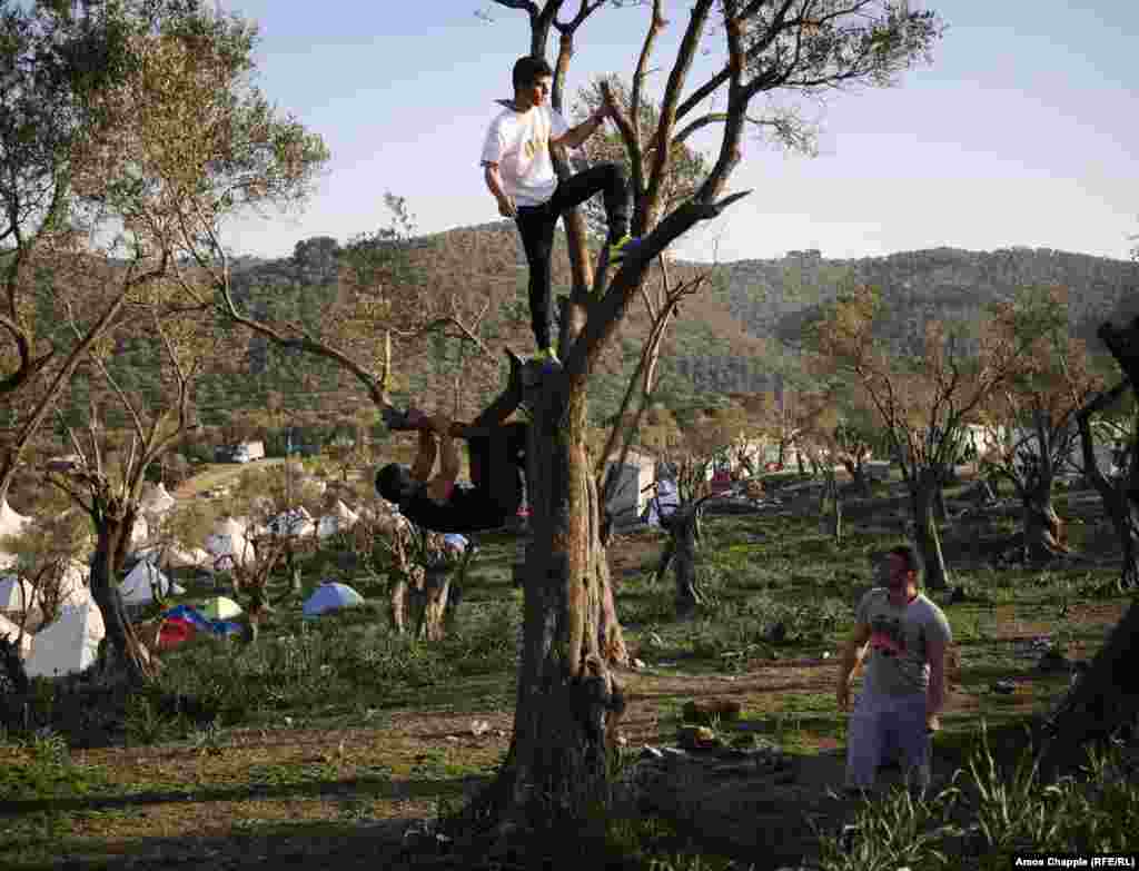 Эти три иранца живут в лагере на острове Лесбос очень давно. Один из них, Алиреза Хоссейни (в центре), говорит: "Мы будем ждать здесь и год, и два, но в Иран точно не вернемся никогда"