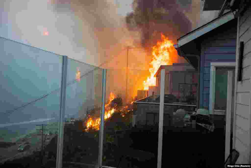 В районе Пасифик-Палисейдс расположены дома голливудских знаменитостей, например Бена Аффлека, а также вице-президента США Камалы Харрис. 