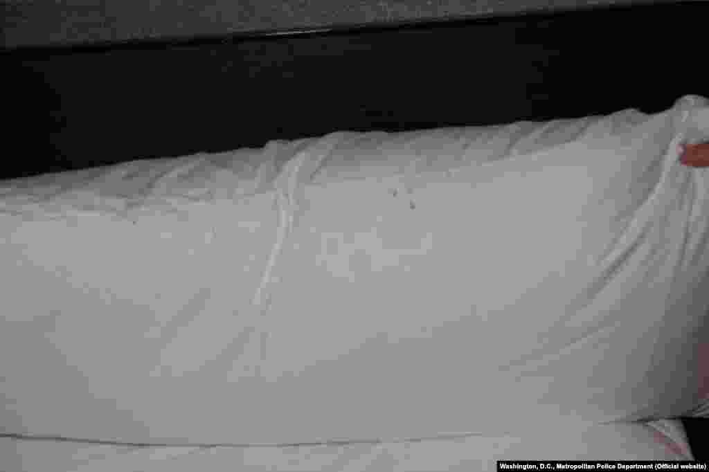 В отчете, предоставленном RFE/RL городскими властями Вашингтона, говорится, что бывший министр печати Лесин мог получить перелом шеи чуть ниже линии челюсти "в момент смерти или незадолго до нее"