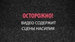 За чей адреналин умрет эта собака? За чей адреналин умрет эта собака?