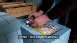 Что такое дронопочта и как она работает  Что такое дронопочта и как она работает