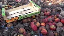 Самогон из "санкционки" со свалки Самогон из "санкционки" со свалки