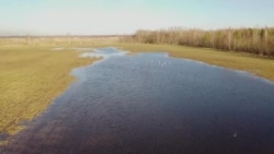 Фермеры в Псковской области накануне посевной считают убытки Фермеры в Псковской области накануне посевной считают убытки