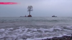 Миллиардер Бидзина Иванишвили пересаживает деревья со всей Грузии в свой дендропарк Миллиардер Бидзина Иванишвили пересаживает деревья со всей Грузии в свой дендропарк