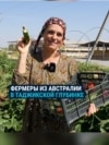 Семья фермеров из Австралии обосновалась в Таджикистане: держат скот, делают сыр и внедряют новые технологии Семья фермеров из Австралии обосновалась в Таджикистане: держат скот, делают сыр и внедряют новые технологии