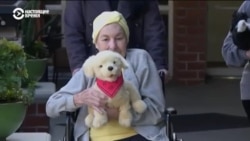 Робокоты и робособаки помогают пожилым с деменцией и людям с болезнью Альцгеймера Робокоты и робособаки помогают пожилым с деменцией и людям с болезнью Альцгеймера