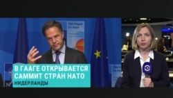 Самый дорогой саммит в истории. В Гааге проходит съезд стран блока НАТО и союзников. О чем говорят в кулуарах? Самый дорогой саммит в истории. В Гааге проходит съезд стран блока НАТО и союзников. О чем говорят в кулуарах?