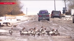 "Великое переселение народа" в Казахстане: с юга на север "Великое переселение народа" в Казахстане: с юга на север