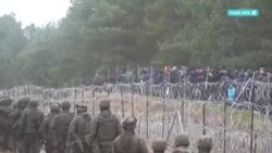 Сотни мигрантов пытаются перейти границу Беларуси с Польшей Сотни мигрантов пытаются перейти границу Беларуси с Польшей