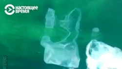 На Тайване изобрели экологичную замену пластиковым трубочкам На Тайване изобрели экологичную замену пластиковым трубочкам