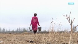 Каждый третий кыргызстанец за чертой бедности: почему это произошло? Каждый третий кыргызстанец за чертой бедности: почему это произошло?