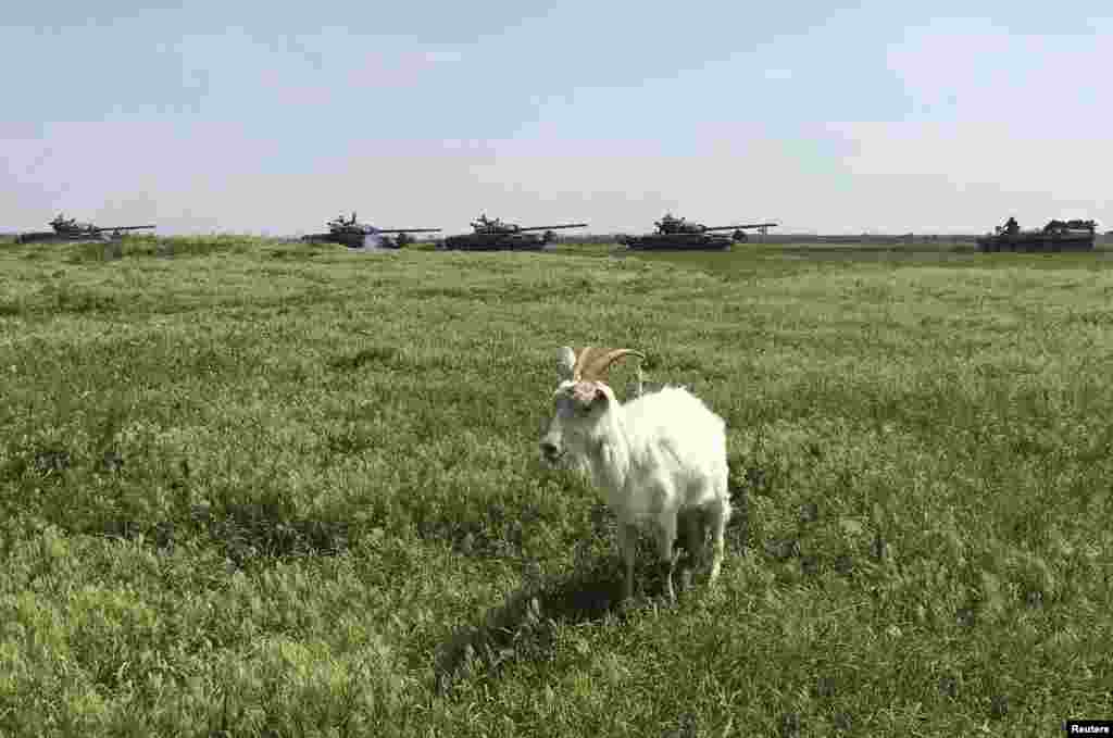 Безмолвный свидетель передвижения военной техники на границе России и Украины 