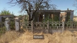 Что День независимости значит для жителей сел Максимовка и Киселевка Николаевской области Что День независимости значит для жителей сел Максимовка и Киселевка Николаевской области