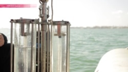 Насколько безопасна вода Черного моря? Настоящее Время берет пробы Насколько безопасна вода Черного моря? Настоящее Время берет пробы