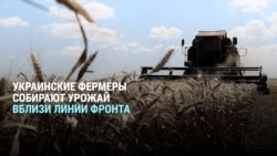 "Может это последний год, когда мы собираем урожай": украинские фермеры работают, несмотря на наступление России
