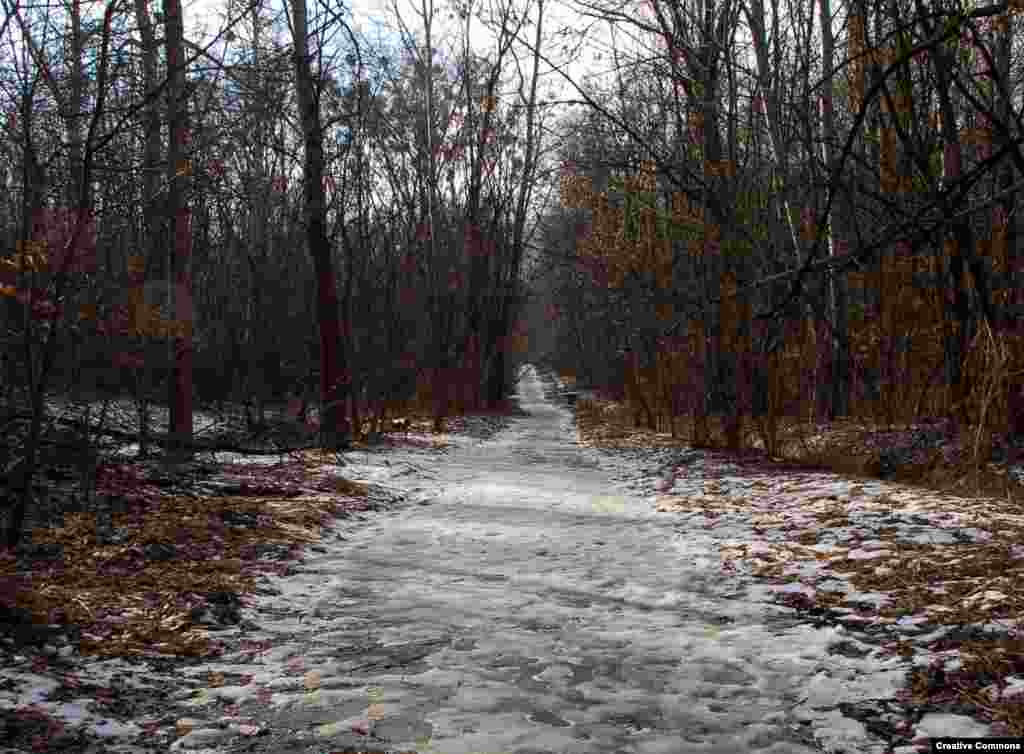 Сам Бабий Яр сегодня – это тихий парк, где при хорошей погоде гуляют под деревьями парочки или катаются велосипедисты. "Есть вещи, есть трагедии, перед безмерностью которых любое слово бессильно и о которых больше скажет молчание, – великое молчание тысяч человек. Может, и нам следовало бы здесь обойтись без слов и молча думать об одном и том же. Однако молчание много говорит лишь там, где все, что можно сказать, уже сказано. Когда же сказано еще далеко не все, когда еще ничего не сказано – тогда молчание становится сообщником лжи и несвободы. Поэтому мы говорим, и должны говорить, где можно и где нельзя, используя любую возможность, которые попадаются нам так редко". – Из выступления писателя Ивана Дзюбы в Бабьем Яру в 1966 году