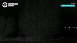 Снежный барс гуляет по парку в черте Алматы Снежный барс гуляет по парку в черте Алматы