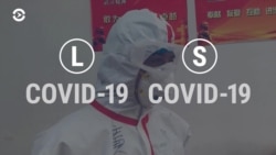 Вирусолог объясняет мутацию штамма коронавируса и почему на разработку вакцин нужен год Вирусолог объясняет мутацию штамма коронавируса и почему на разработку вакцин нужен год