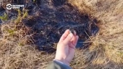 "Нефть на кустах, на земле, на траве". В Коми до конца не очистили территорию после аварии "Нефть на кустах, на земле, на траве". В Коми до конца не очистили территорию после аварии