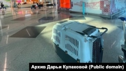 Первое фото Дарьи Кулаковой по прилете в Португалию