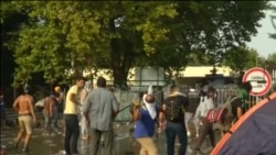 Столкновения мигрантов с полицией на границе Сербии и Венгрии Столкновения мигрантов с полицией на границе Сербии и Венгрии