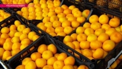 Чем будут заменять попавшие под санкции турецкие овощи? Репортаж Настоящего Времени Чем будут заменять попавшие под санкции турецкие овощи? Репортаж Настоящего Времени