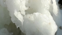 Гренландия прокомментировала сообщения о желании США купить остров Гренландия прокомментировала сообщения о желании США купить остров