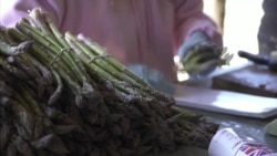 Европа столкнулась с нехваткой сезонных рабочих из-за коронавируса Европа столкнулась с нехваткой сезонных рабочих из-за коронавируса